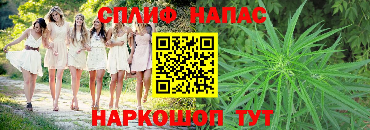 Бошки марихуана White Widow Октябрьский